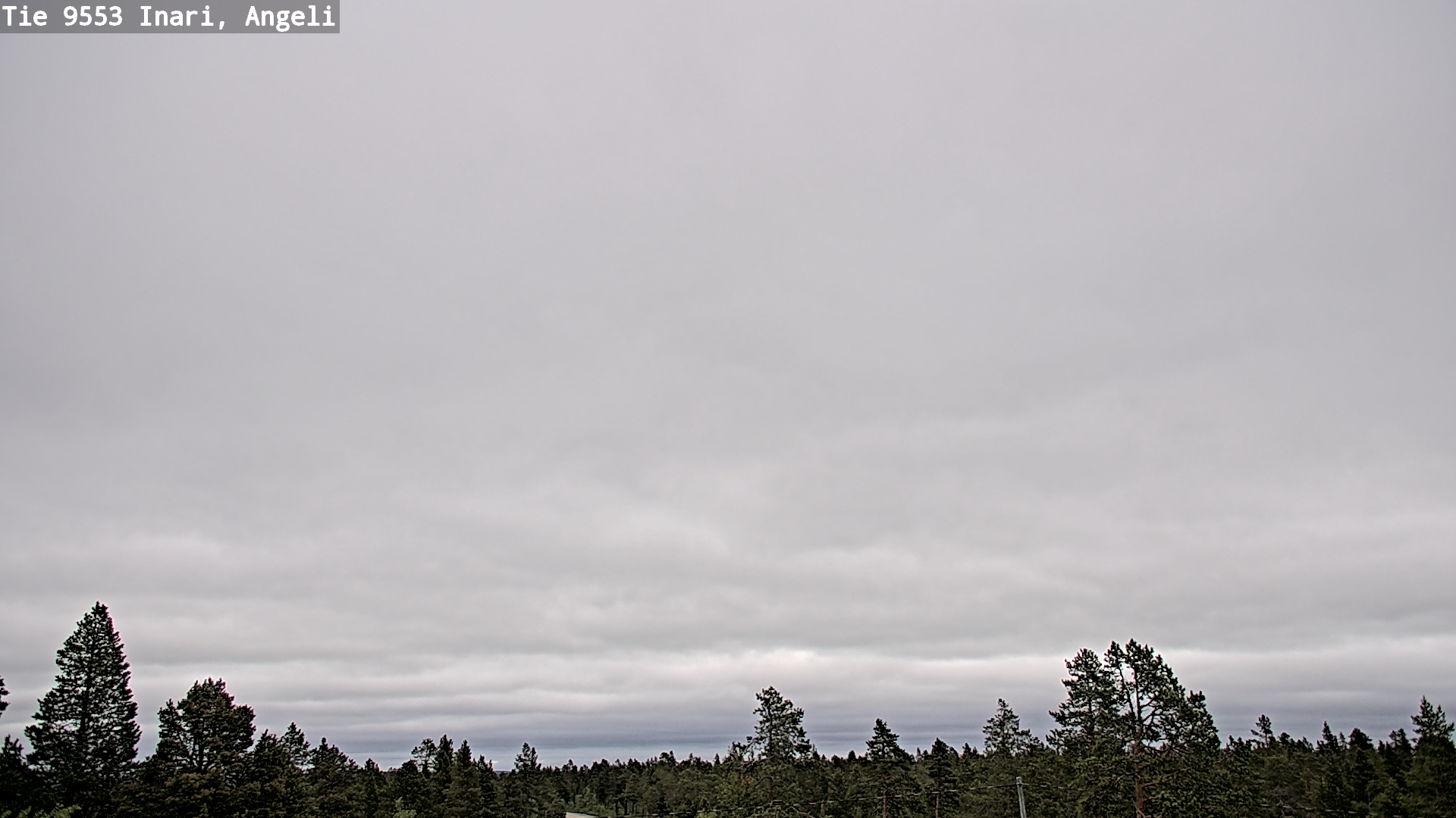 Weather Camera Image Road 9553 Inari, Angeli, Lintupuolivaara, Inari, Lappi