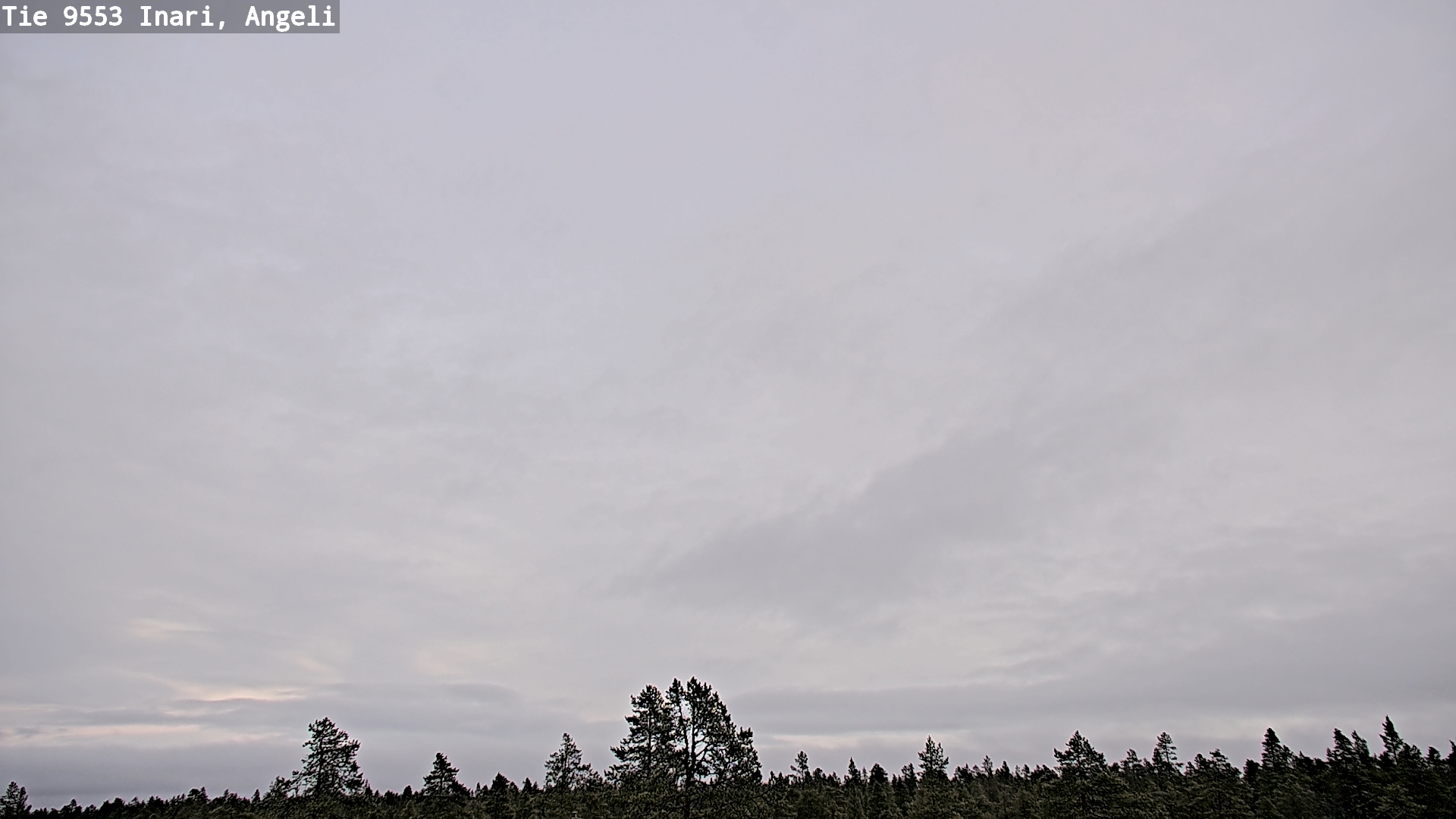 Kelikamerat Kuva Tie 9553 Inari, Angeli, Lintupuolivaara, Inari, Lappi