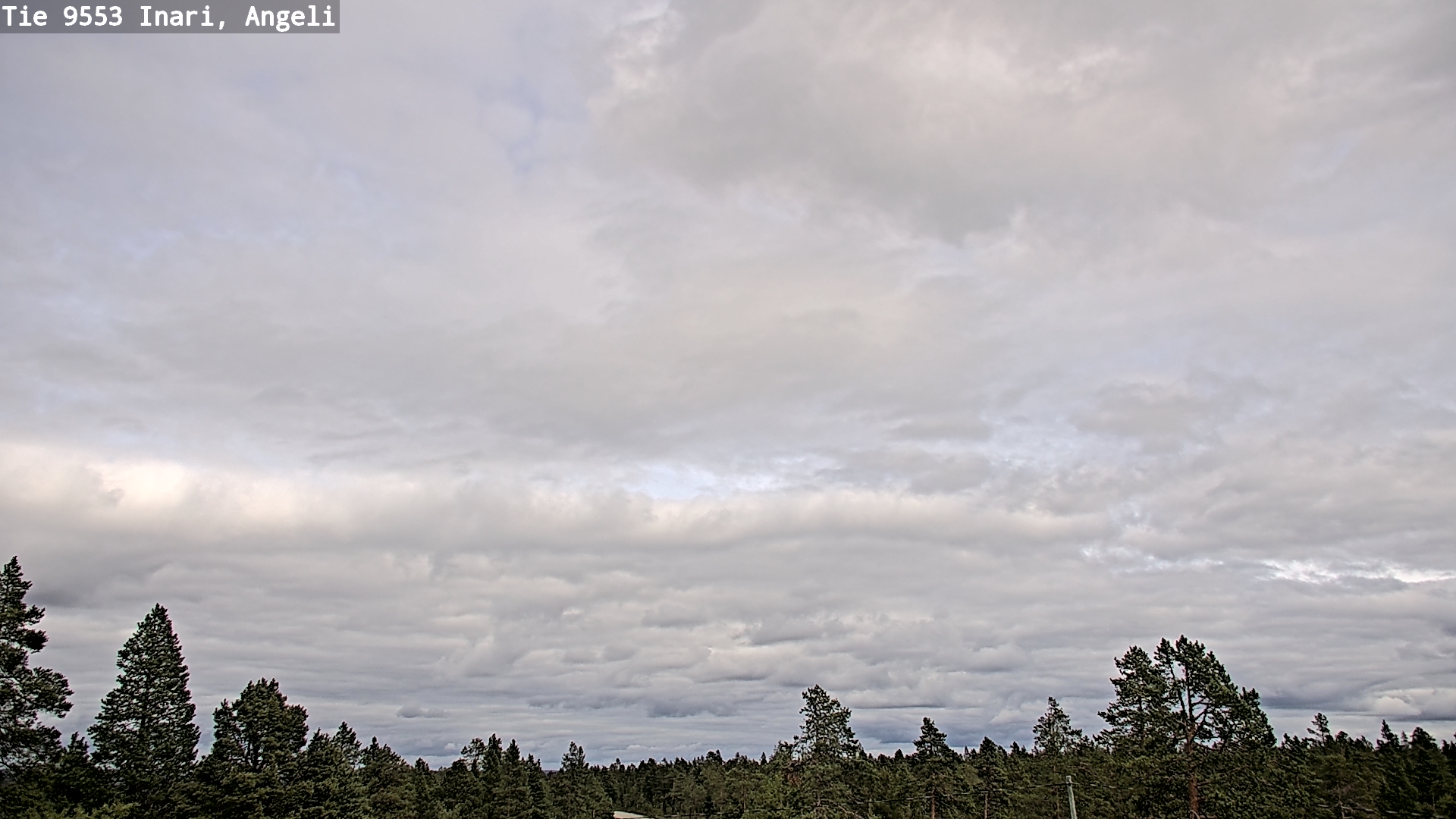Kelikamerat Kuva Tie 9553 Inari, Angeli, Lintupuolivaara, Inari, Lappi