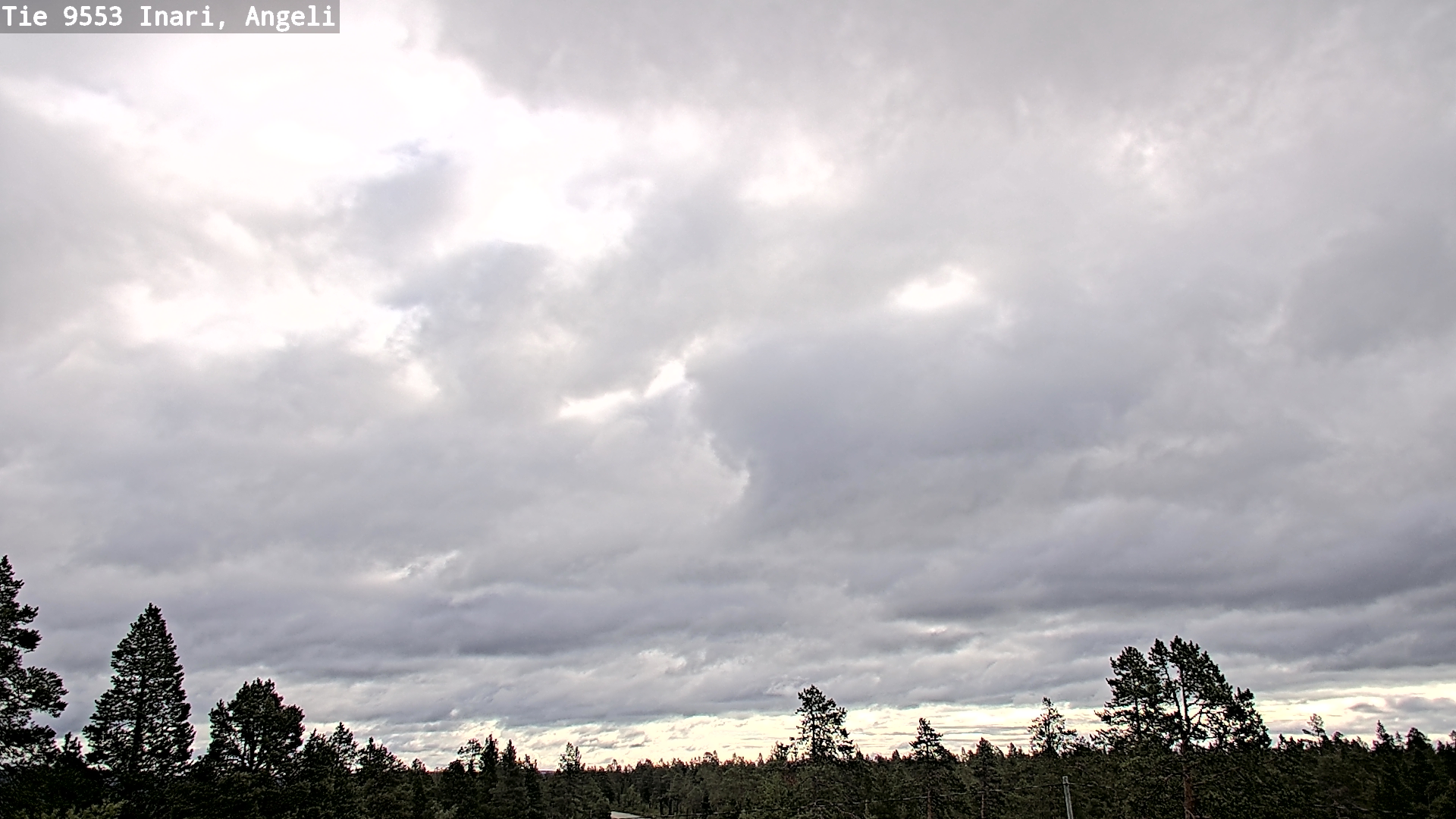 Weather Camera Image Road 9553 Inari, Angeli, Lintupuolivaara, Inari, Lappi