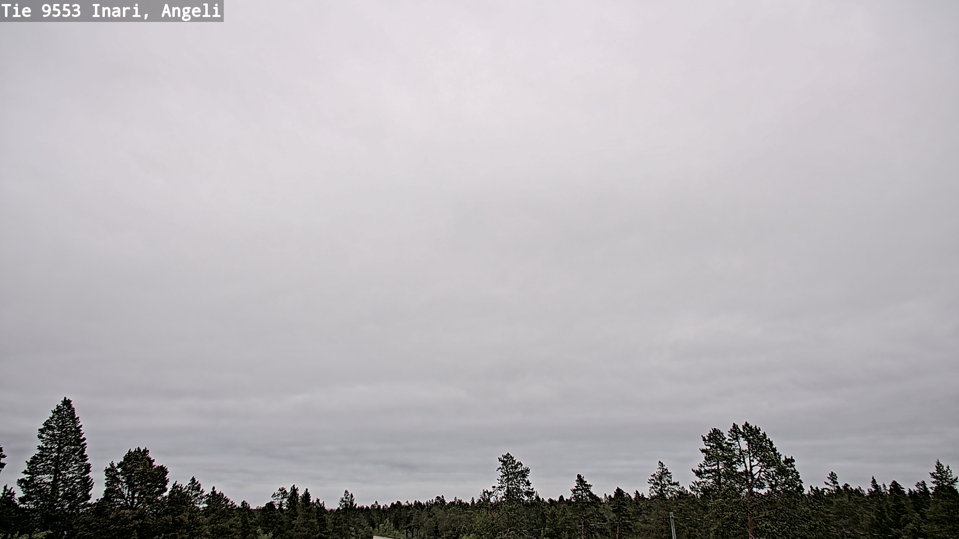 Weather Camera Image Road 9553 Inari, Angeli, Lintupuolivaara, Inari, Lappi