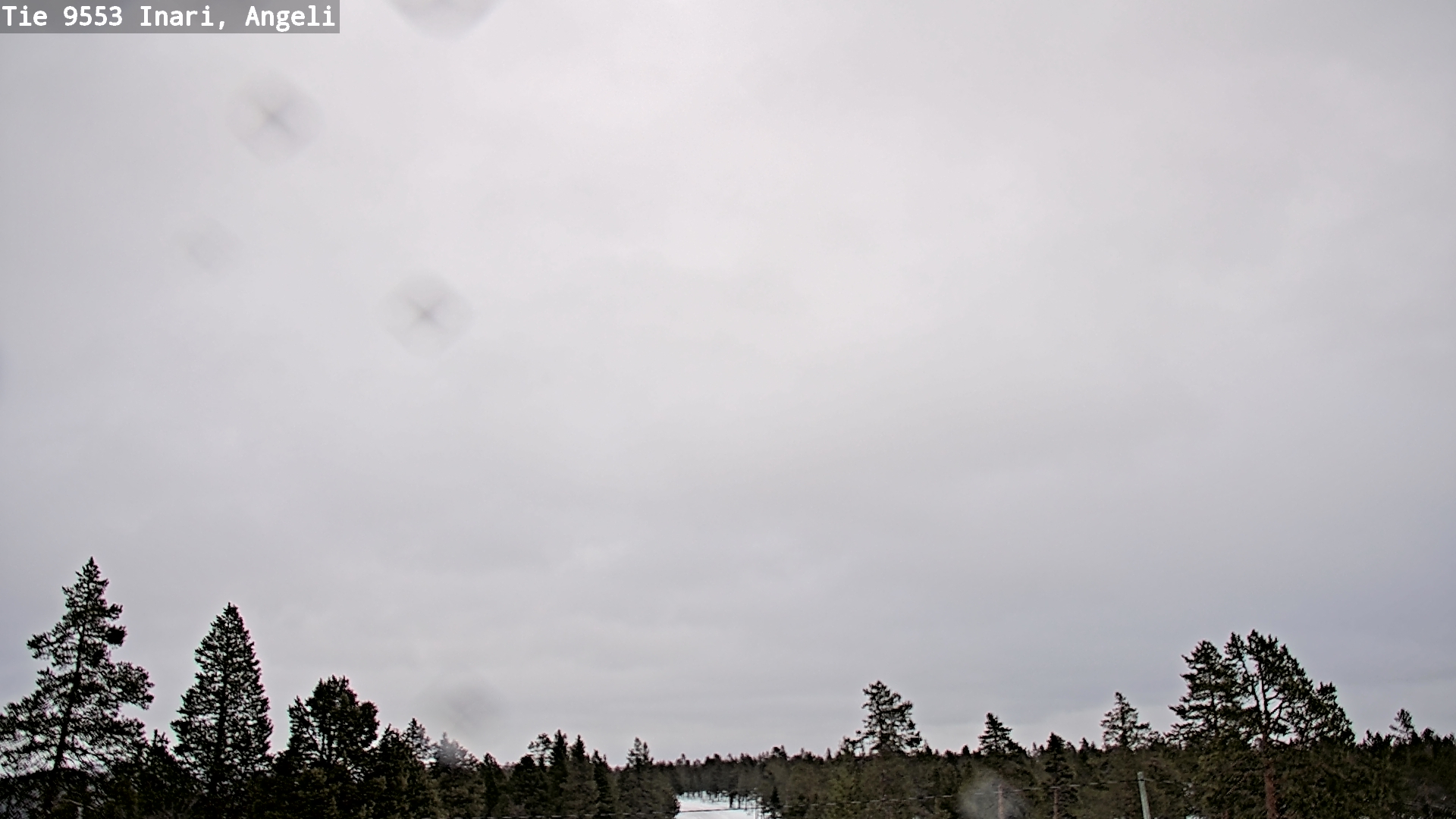 Kelikamerat Kuva Tie 9553 Inari, Angeli, Lintupuolivaara, Inari, Lappi