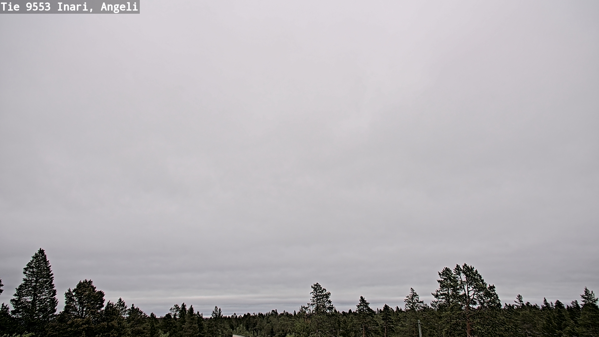 Weather Camera Image Road 9553 Inari, Angeli, Lintupuolivaara, Inari, Lappi