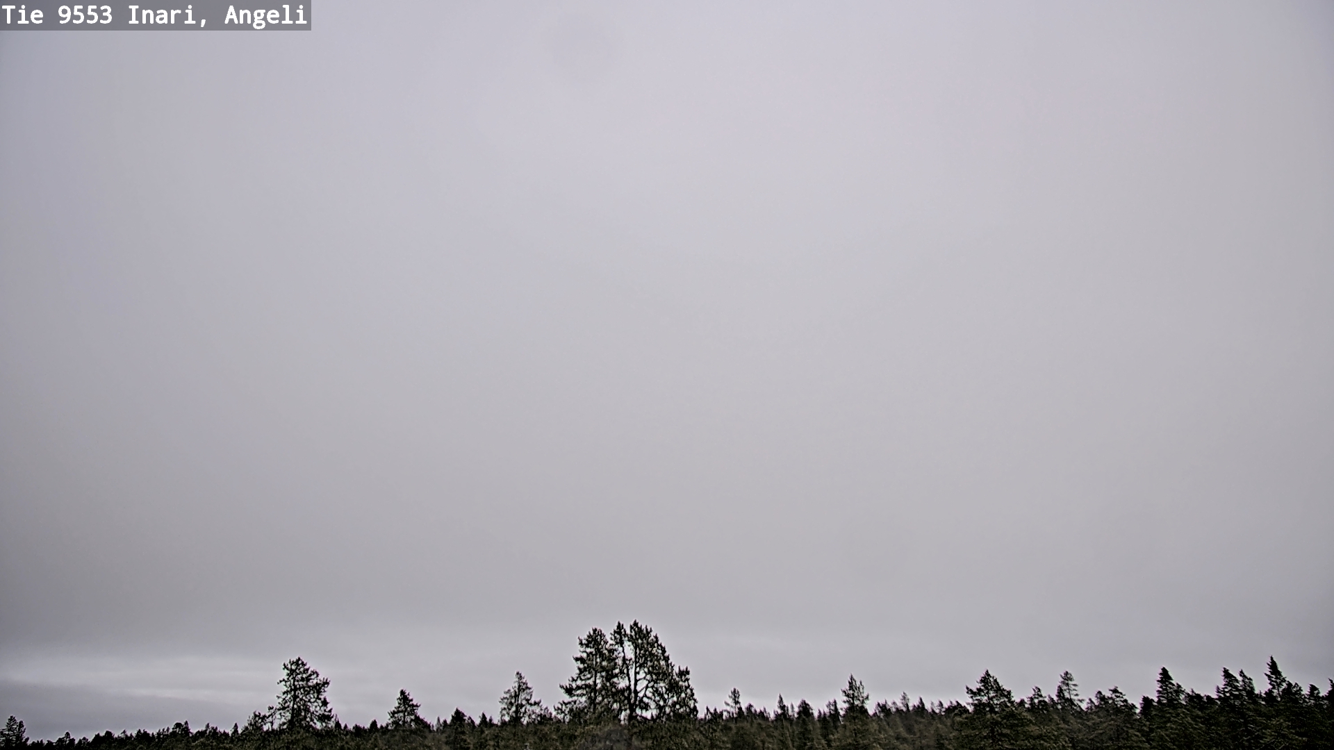 Kelikamerat Kuva Tie 9553 Inari, Angeli, Lintupuolivaara, Inari, Lappi