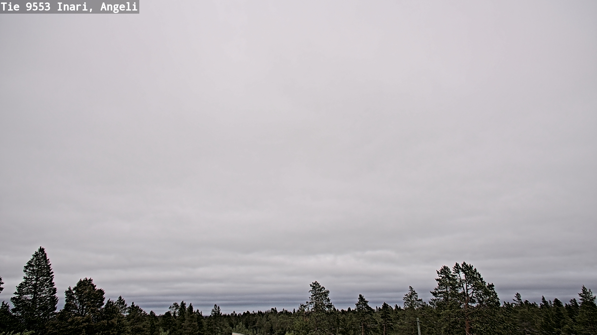 Weather Camera Image Road 9553 Inari, Angeli, Lintupuolivaara, Inari, Lappi