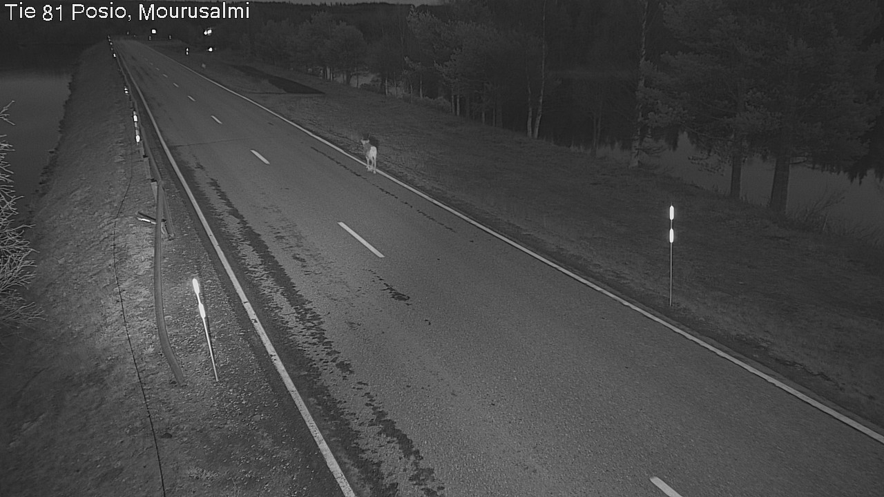Kelikamerat Kuva Tie 81 Posio, Mourusalmi, Posio, Lappi