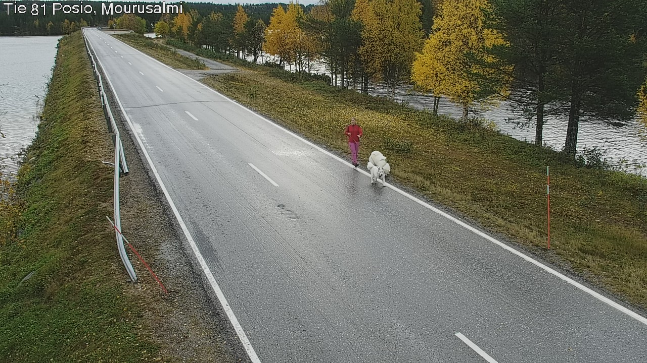 Weather Camera Image Road 81 Posio, Mourusalmi, Posio, Lappi