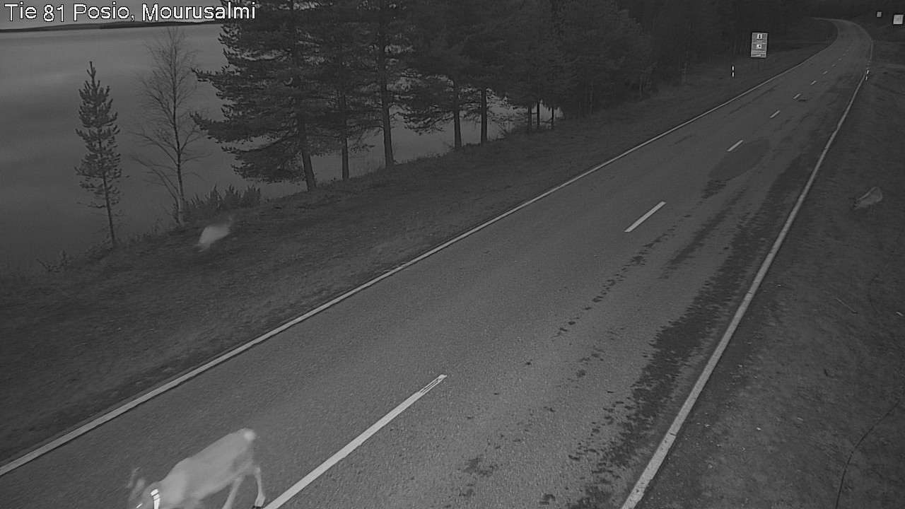 Kelikamerat Kuva Tie 81 Posio, Mourusalmi, Posio, Lappi
