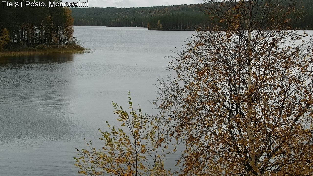 Kelikamerat Kuva Tie 81 Posio, Mourusalmi, Posio, Lappi