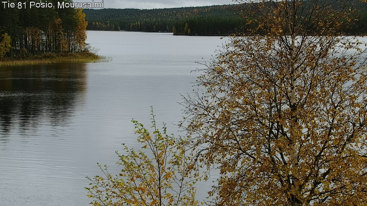 Kelikamerat Kuva Tie 81 Posio, Mourusalmi, Posio, Lappi