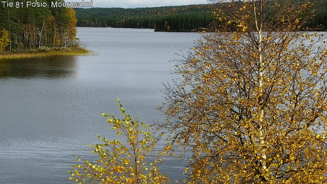 Kelikamerat Kuva Tie 81 Posio, Mourusalmi, Posio, Lappi