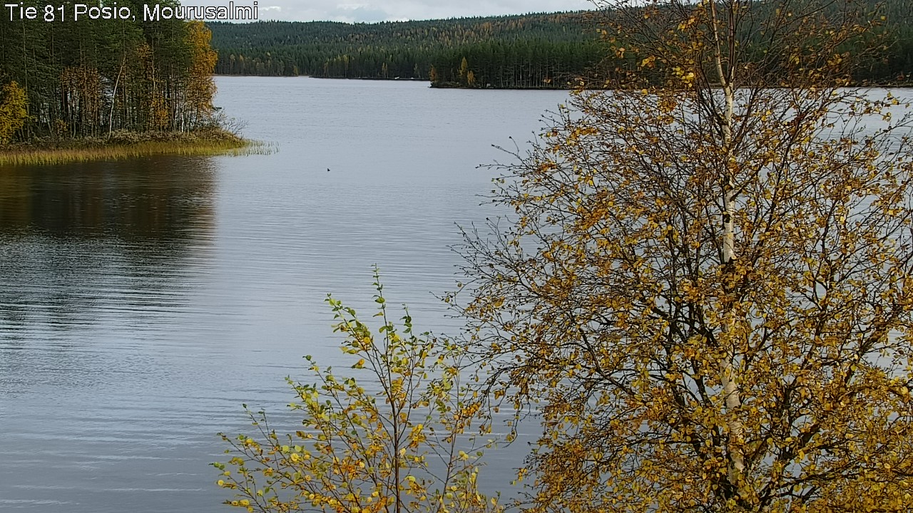Kelikamerat Kuva Tie 81 Posio, Mourusalmi, Posio, Lappi