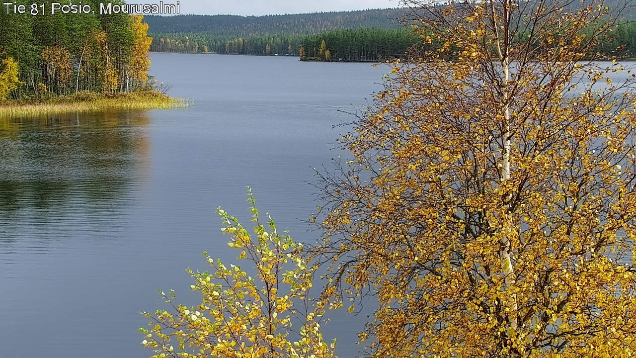 Kelikamerat Kuva Tie 81 Posio, Mourusalmi, Posio, Lappi
