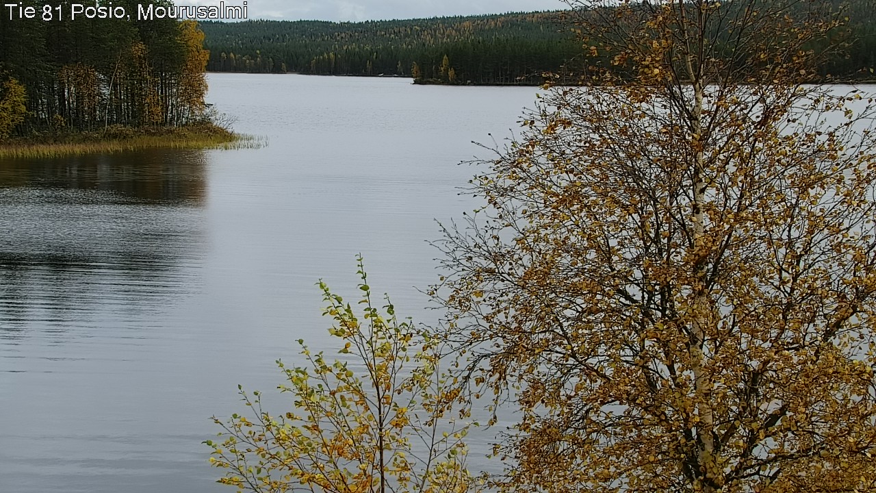 Kelikamerat Kuva Tie 81 Posio, Mourusalmi, Posio, Lappi
