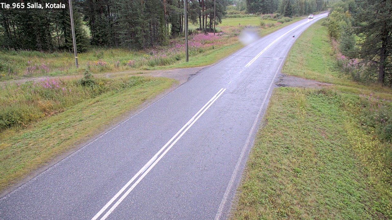 Kelikamerat Kuva Tie 965 Salla, Kotala, Salla, Lappi