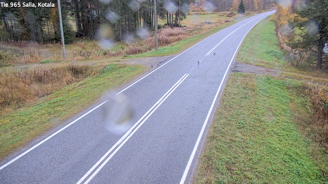Kelikamerat Kuva Tie 965 Salla, Kotala, Salla, Lappi