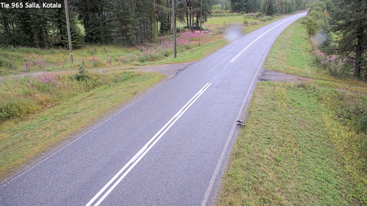Kelikamerat Kuva Tie 965 Salla, Kotala, Salla, Lappi