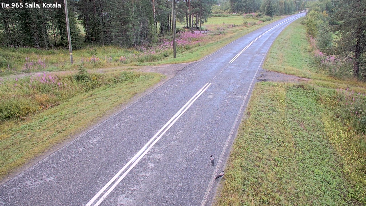 Weather Camera Image Väg 965 Salla, Kotala, Salla, Lappi