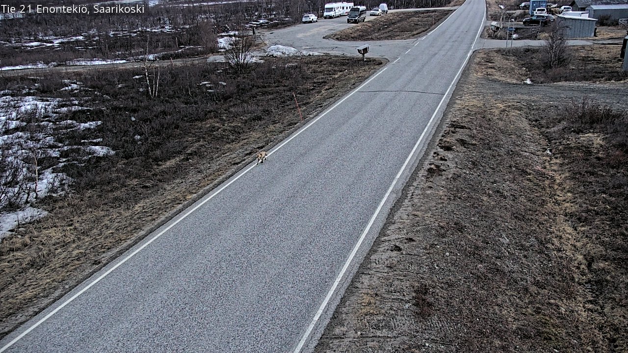 Weather Camera Image Road 21 Enontekiö, Saarikoski, Enontekiö, Lappi