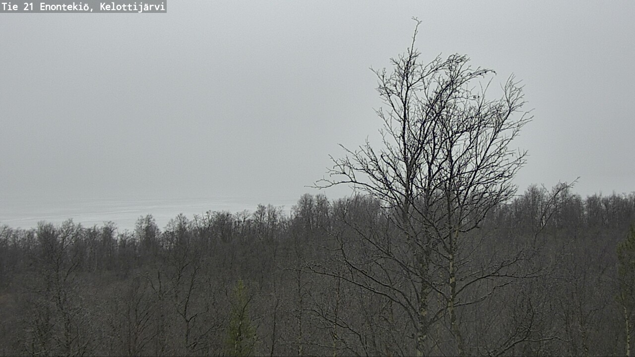Kelikamerat Kuva Tie 21 Enontekiö, Kelottijärvi, Enontekiö, Lappi