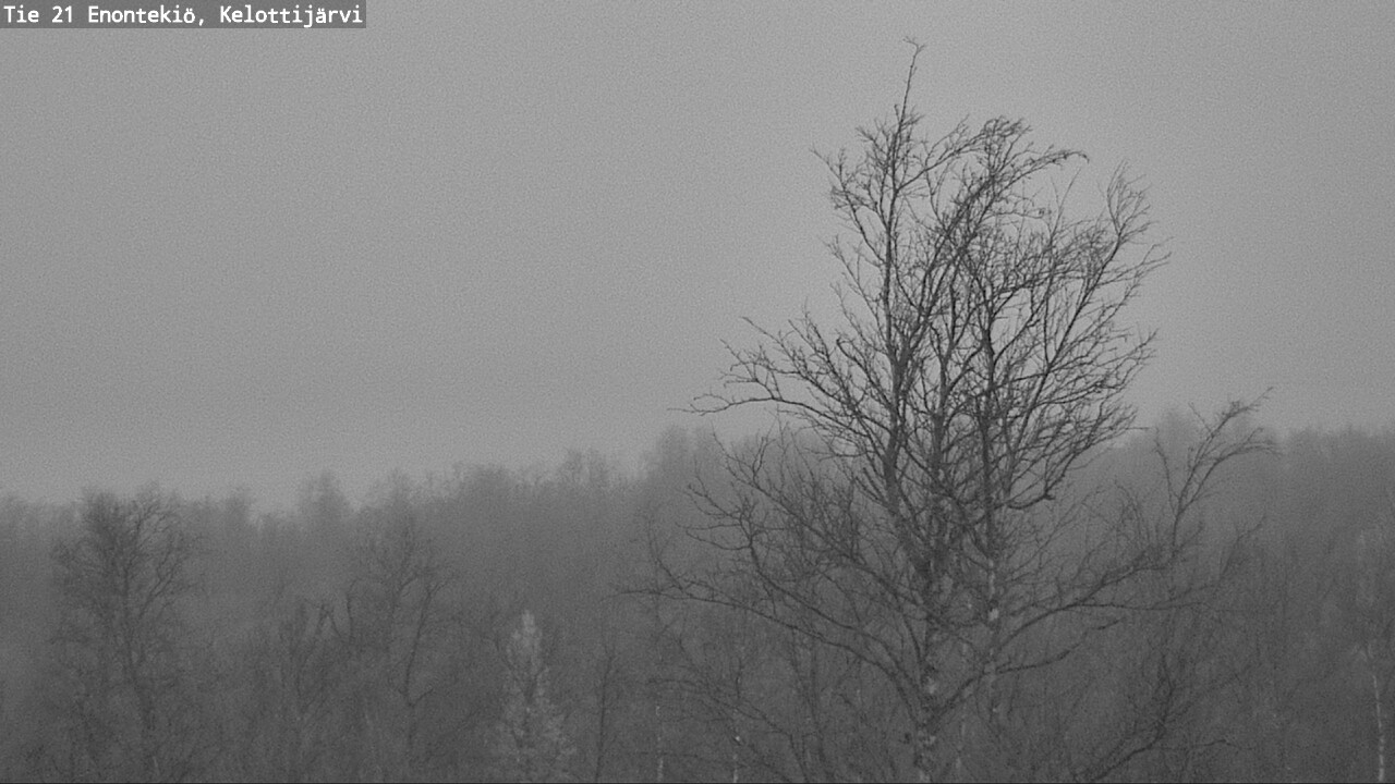 Kelikamerat Kuva Tie 21 Enontekiö, Kelottijärvi, Enontekiö, Lappi