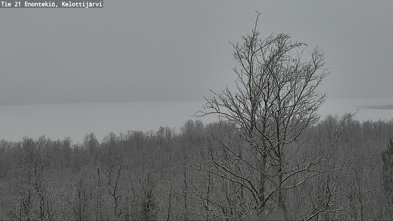 Kelikamerat Kuva Tie 21 Enontekiö, Kelottijärvi, Enontekiö, Lappi