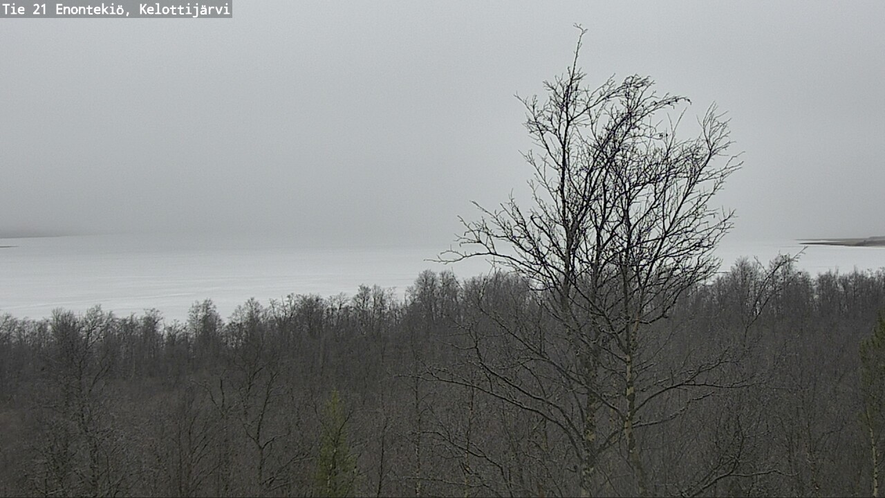 Kelikamerat Kuva Tie 21 Enontekiö, Kelottijärvi, Enontekiö, Lappi