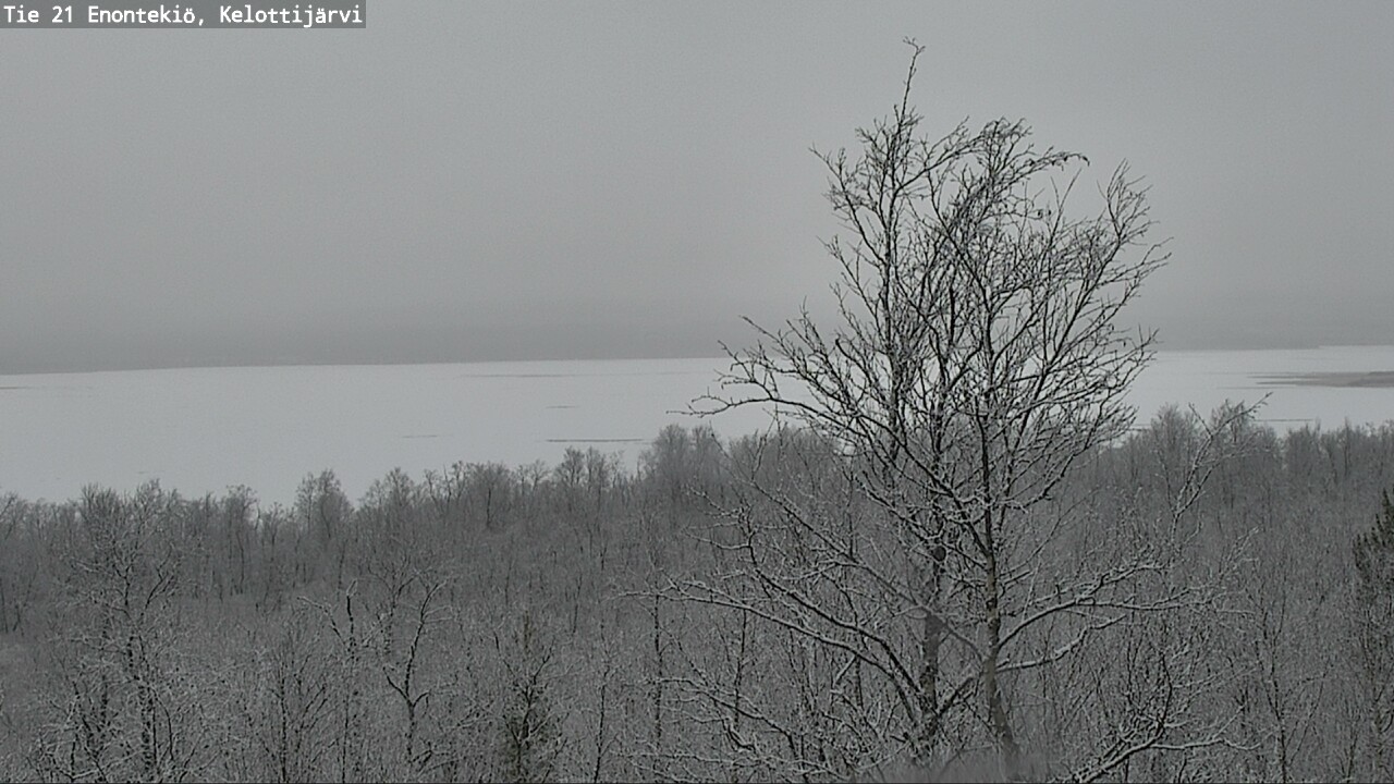 Kelikamerat Kuva Tie 21 Enontekiö, Kelottijärvi, Enontekiö, Lappi