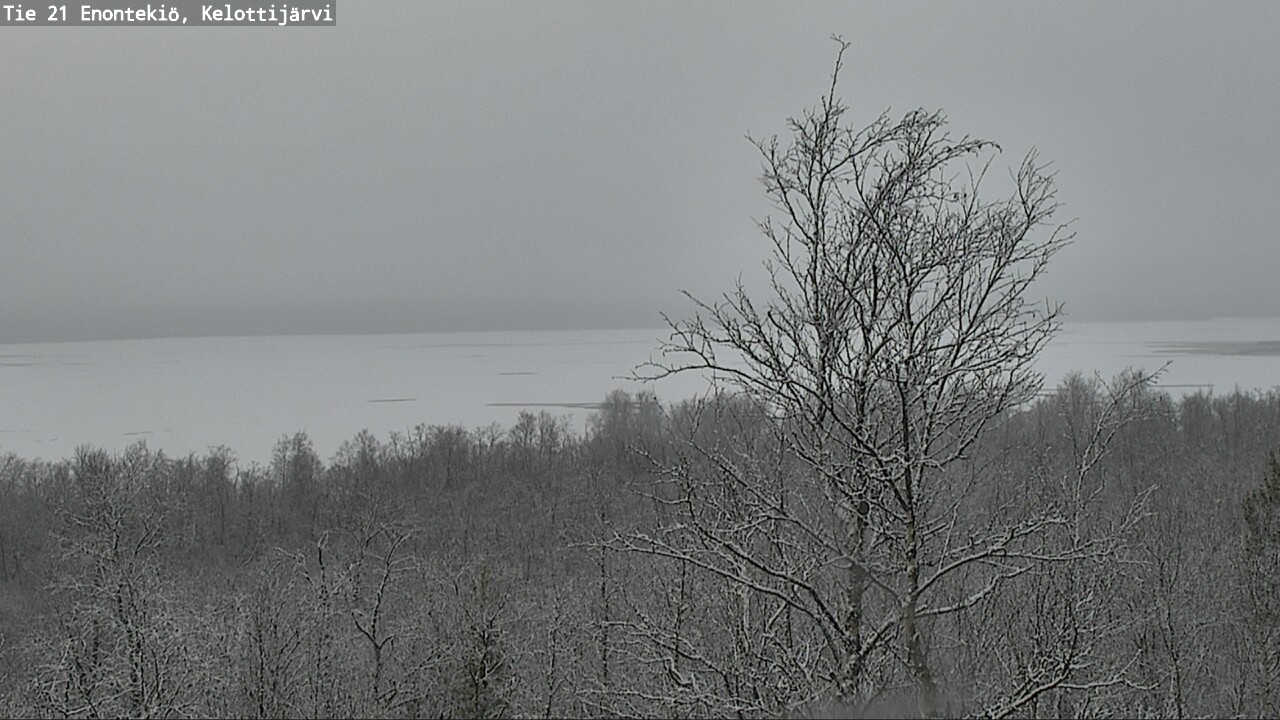 Kelikamerat Kuva Tie 21 Enontekiö, Kelottijärvi, Enontekiö, Lappi