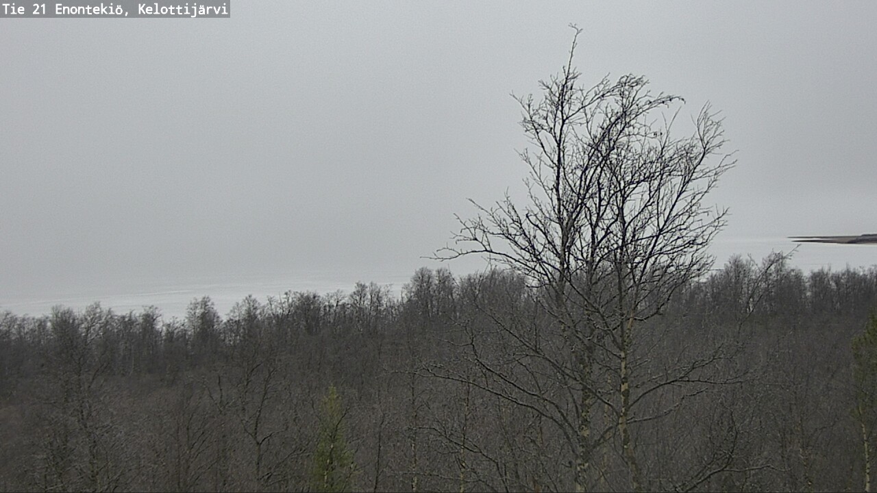 Kelikamerat Kuva Tie 21 Enontekiö, Kelottijärvi, Enontekiö, Lappi