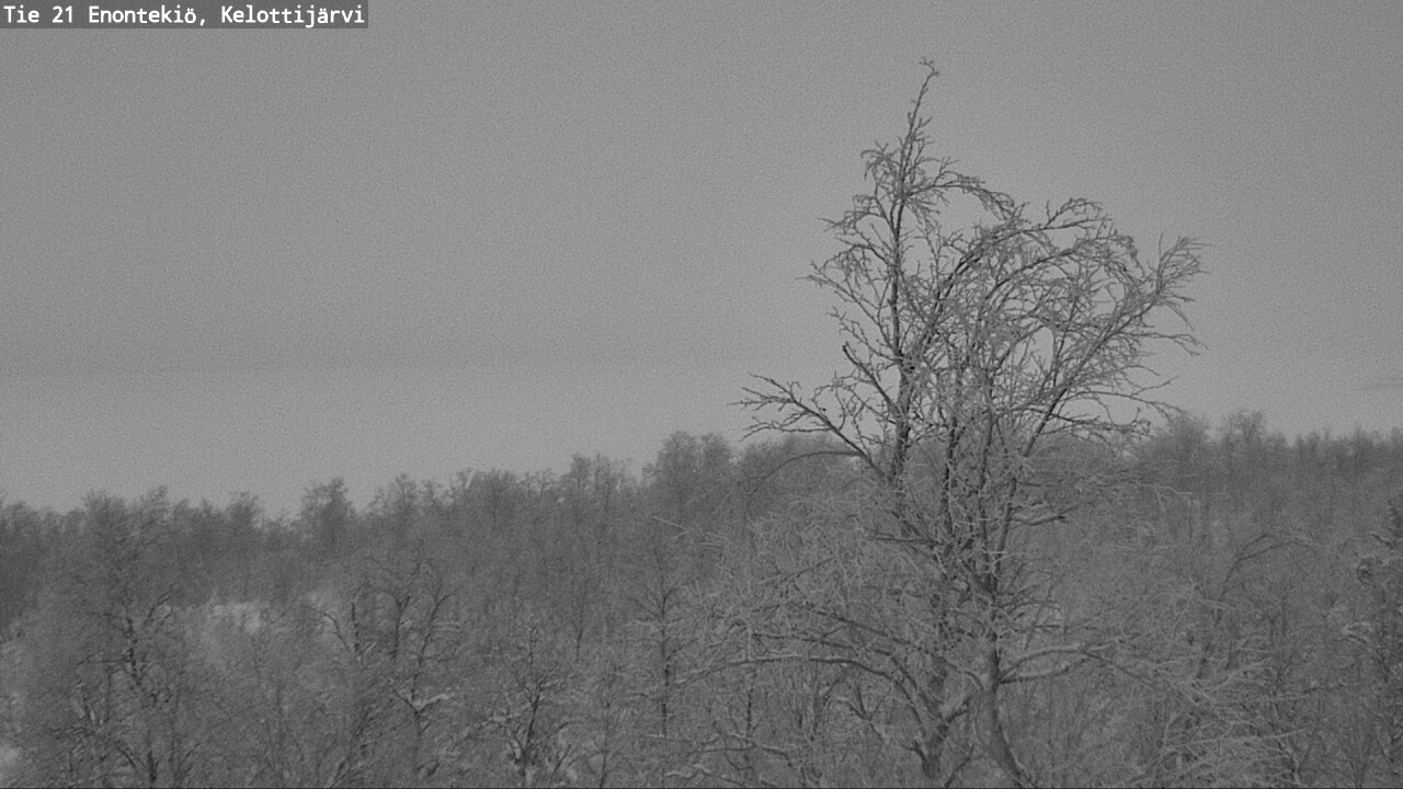 Kelikamerat Kuva Tie 21 Enontekiö, Kelottijärvi, Enontekiö, Lappi