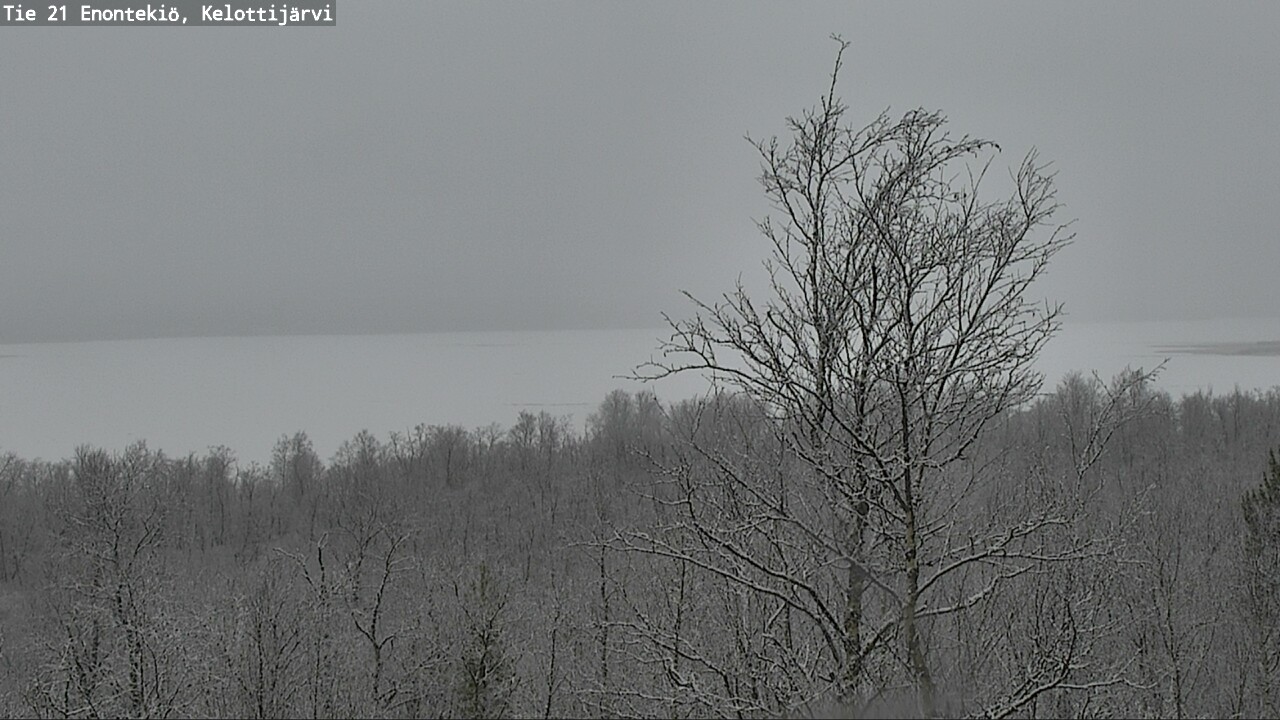 Kelikamerat Kuva Tie 21 Enontekiö, Kelottijärvi, Enontekiö, Lappi