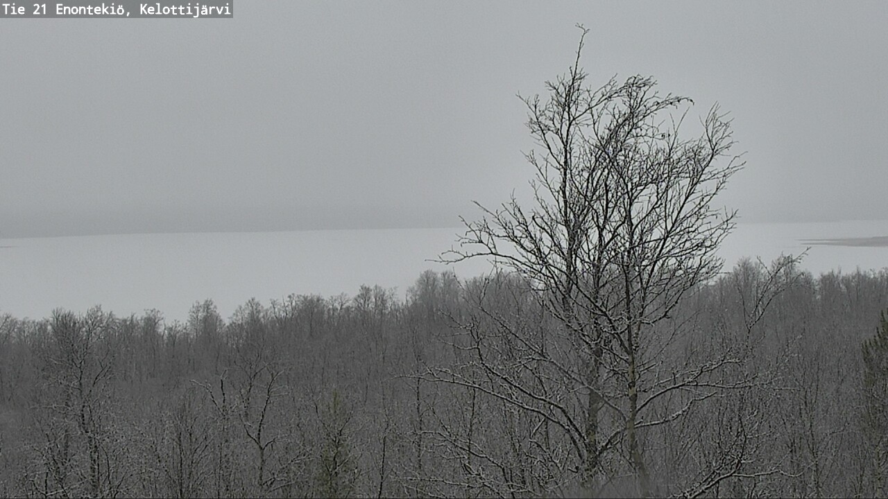 Kelikamerat Kuva Tie 21 Enontekiö, Kelottijärvi, Enontekiö, Lappi