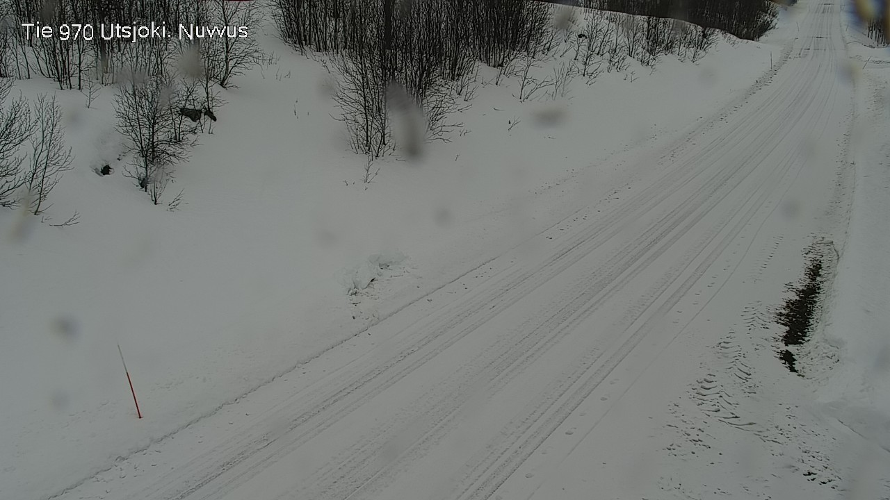 Weather Camera Image Road 970 Utsjoki, Nuvvus, Utsjoki, Lappi