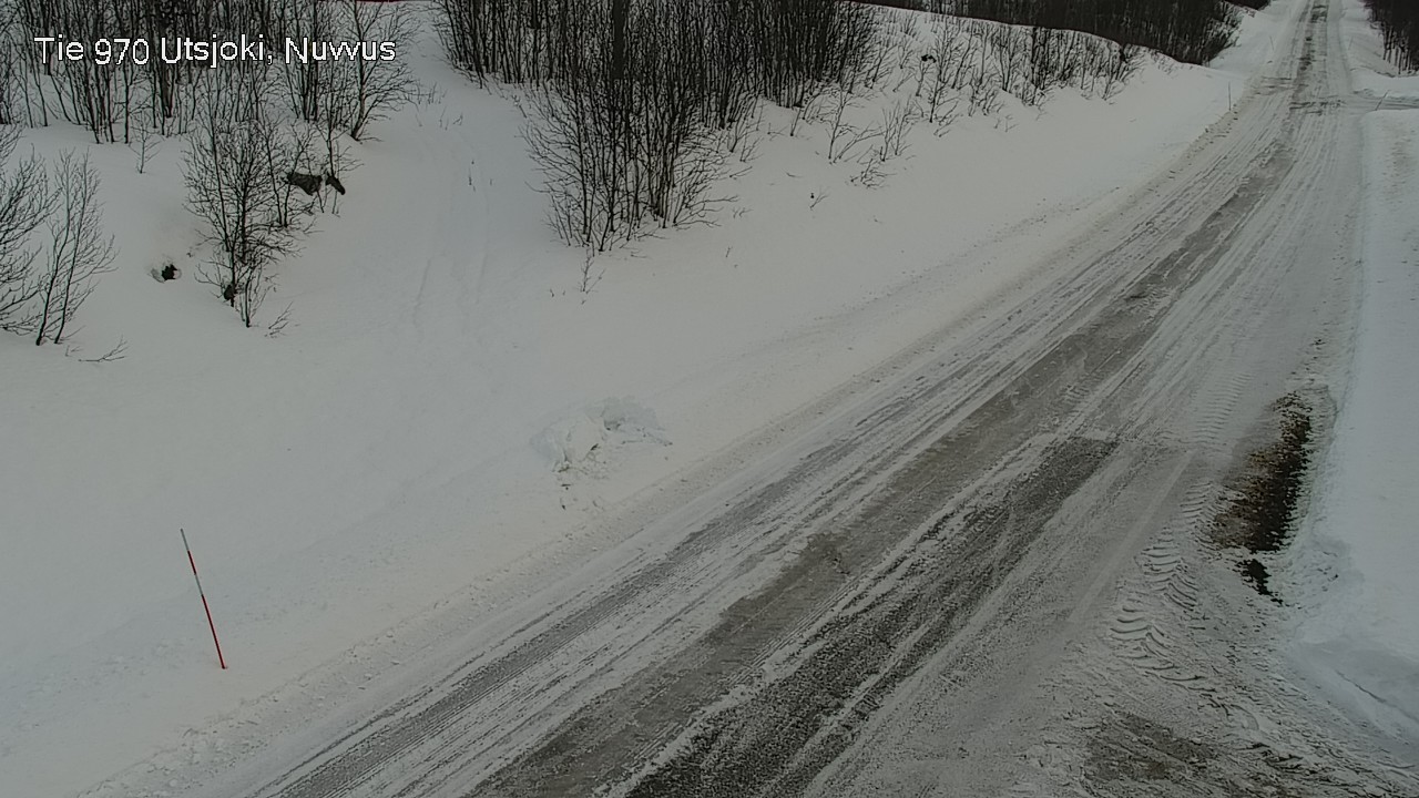 Kelikamerat Kuva Tie 970 Utsjoki, Nuvvus, Utsjoki, Lappi