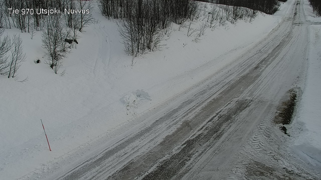 Kelikamerat Kuva Tie 970 Utsjoki, Nuvvus, Utsjoki, Lappi