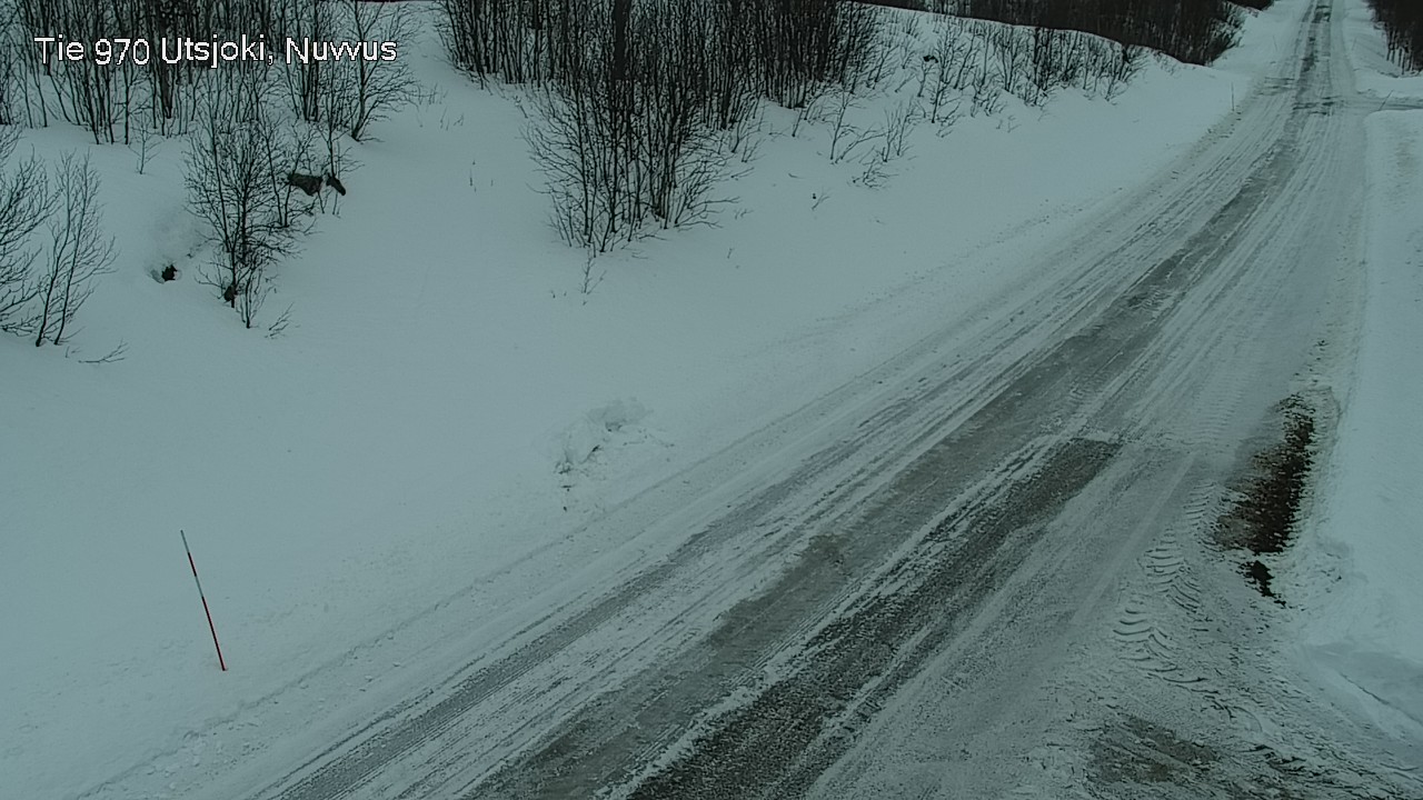 Kelikamerat Kuva Tie 970 Utsjoki, Nuvvus, Utsjoki, Lappi