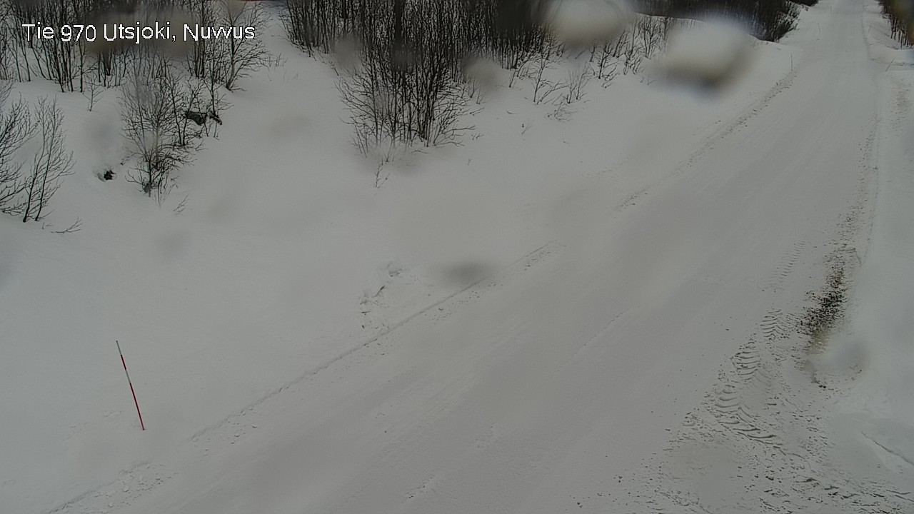 Kelikamerat Kuva Tie 970 Utsjoki, Nuvvus, Utsjoki, Lappi