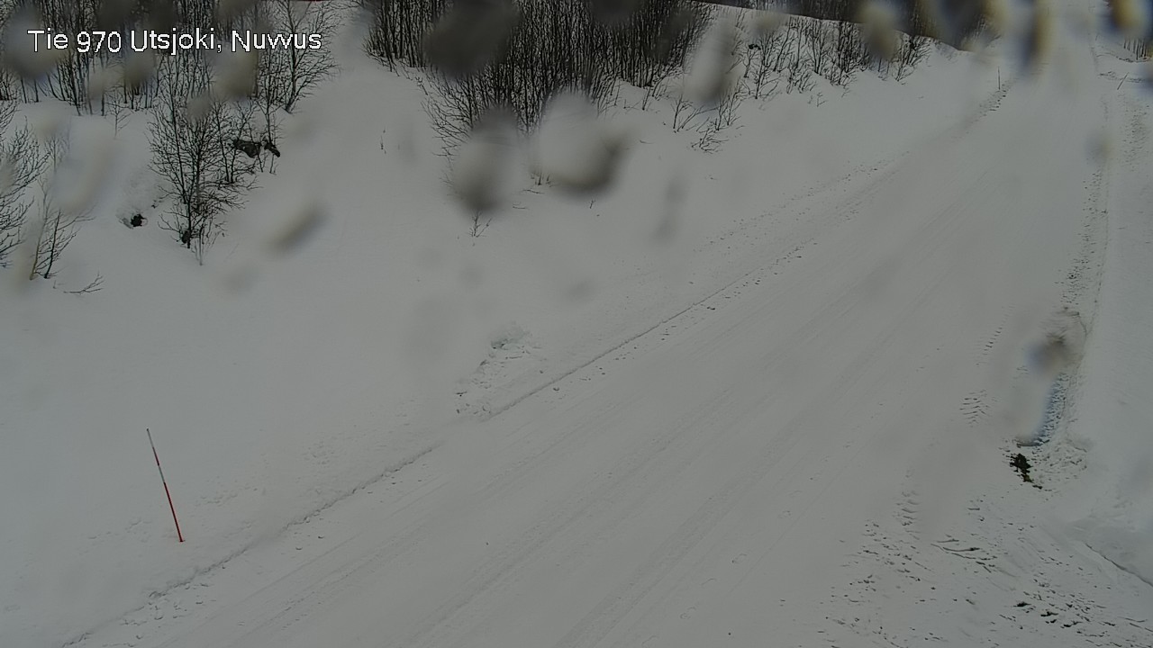 Kelikamerat Kuva Tie 970 Utsjoki, Nuvvus, Utsjoki, Lappi