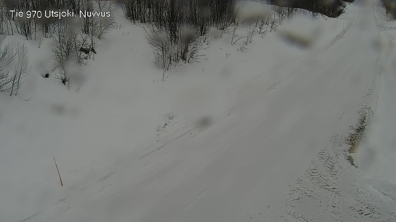 Kelikamerat Kuva Tie 970 Utsjoki, Nuvvus, Utsjoki, Lappi