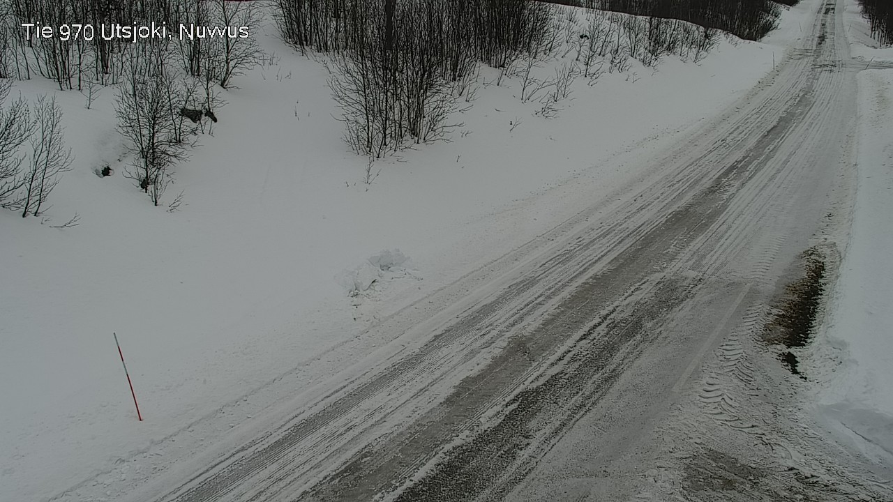 Kelikamerat Kuva Tie 970 Utsjoki, Nuvvus, Utsjoki, Lappi