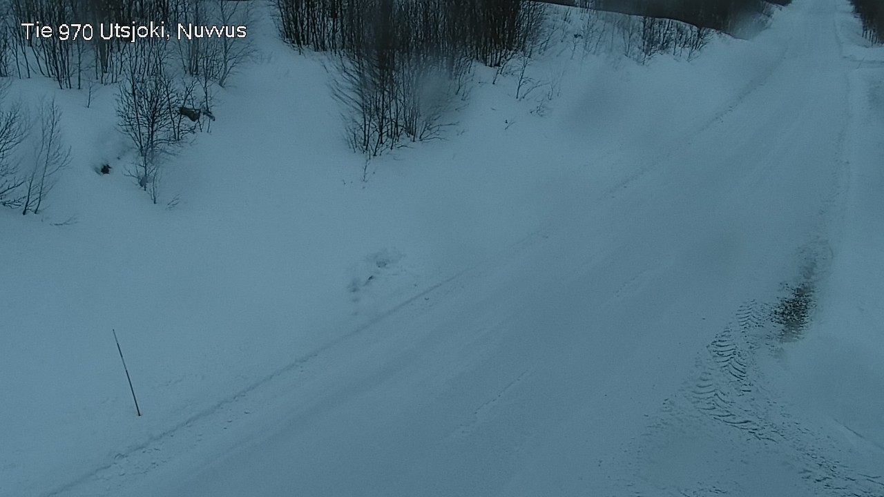 Kelikamerat Kuva Tie 970 Utsjoki, Nuvvus, Utsjoki, Lappi