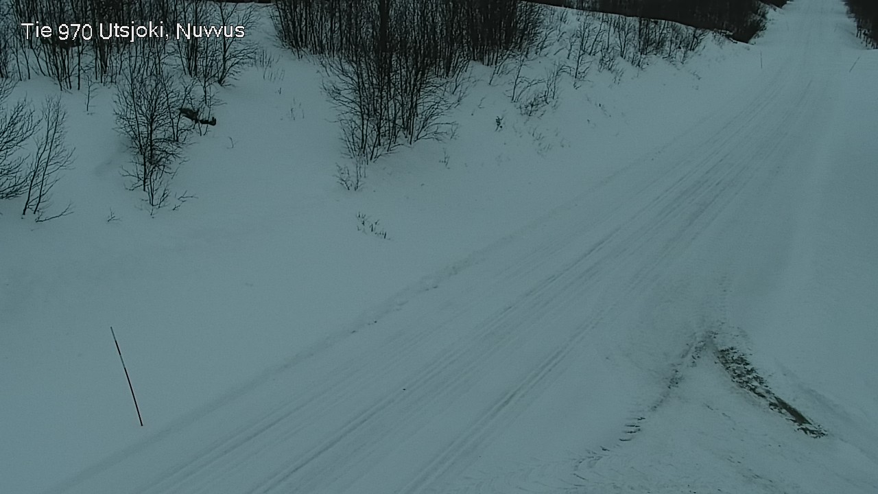 Weather Camera Image Road 970 Utsjoki, Nuvvus, Utsjoki, Lappi