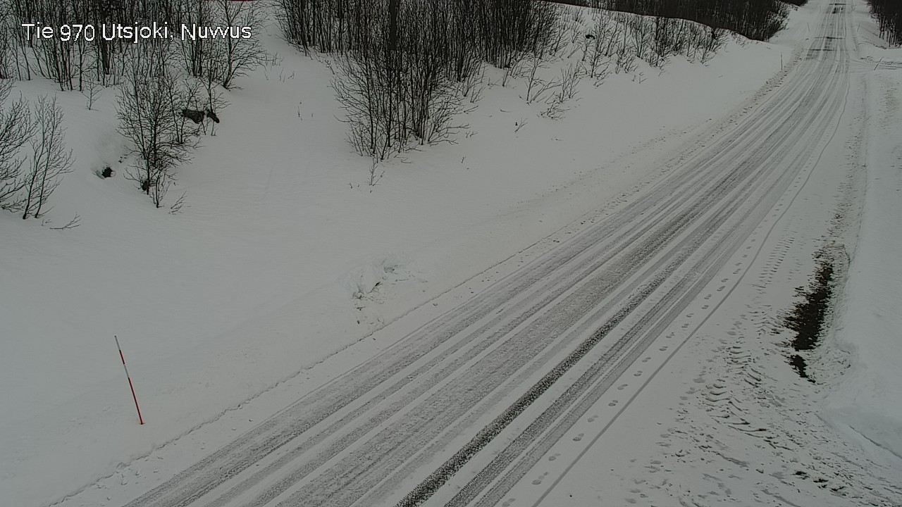 Weather Camera Image Road 970 Utsjoki, Nuvvus, Utsjoki, Lappi