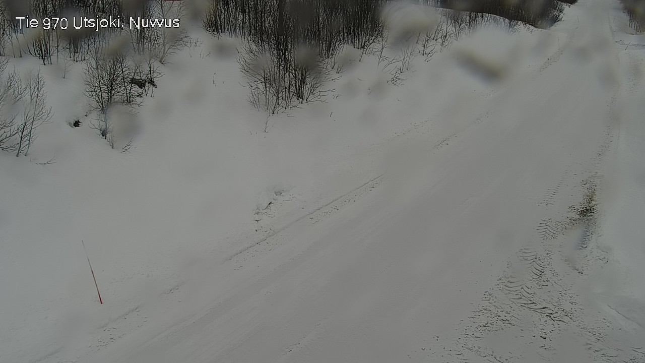 Kelikamerat Kuva Tie 970 Utsjoki, Nuvvus, Utsjoki, Lappi