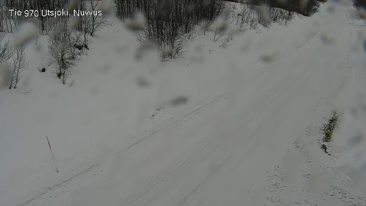 Kelikamerat Kuva Tie 970 Utsjoki, Nuvvus, Utsjoki, Lappi