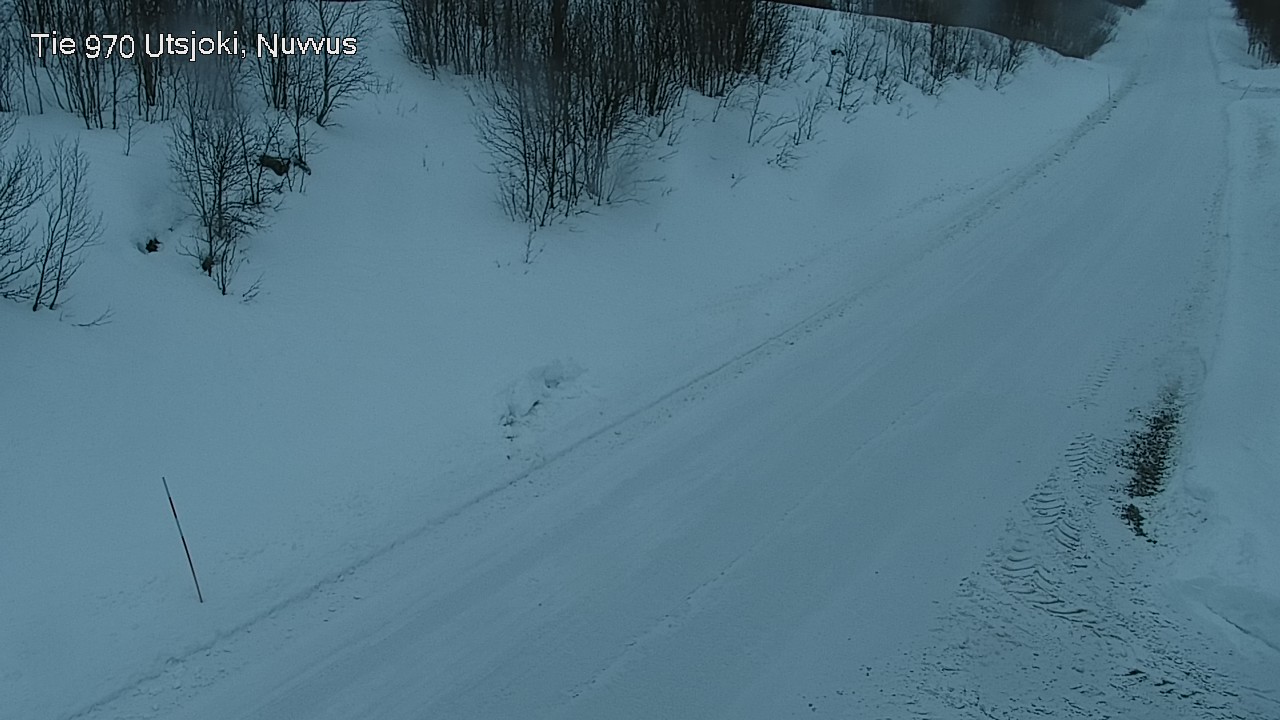 Kelikamerat Kuva Tie 970 Utsjoki, Nuvvus, Utsjoki, Lappi