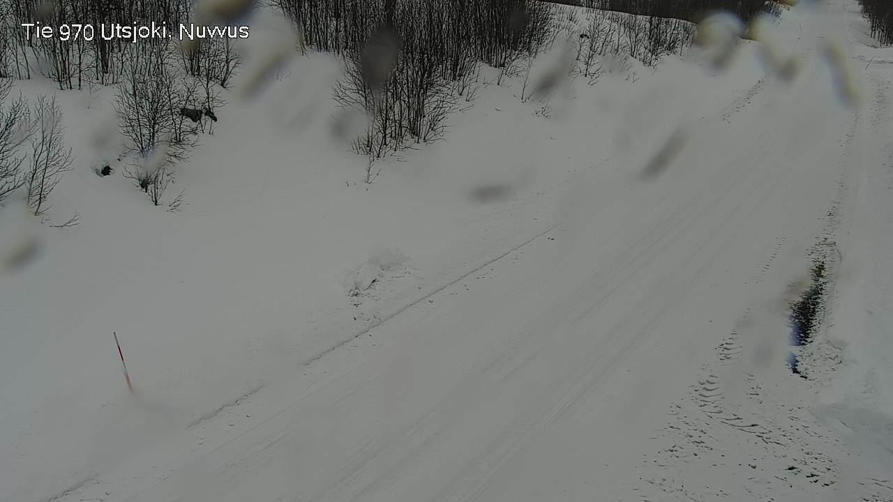 Weather Camera Image Road 970 Utsjoki, Nuvvus, Utsjoki, Lappi