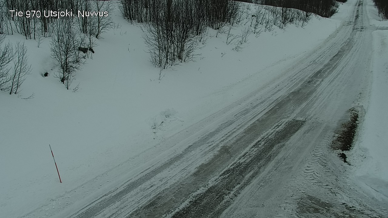 Kelikamerat Kuva Tie 970 Utsjoki, Nuvvus, Utsjoki, Lappi