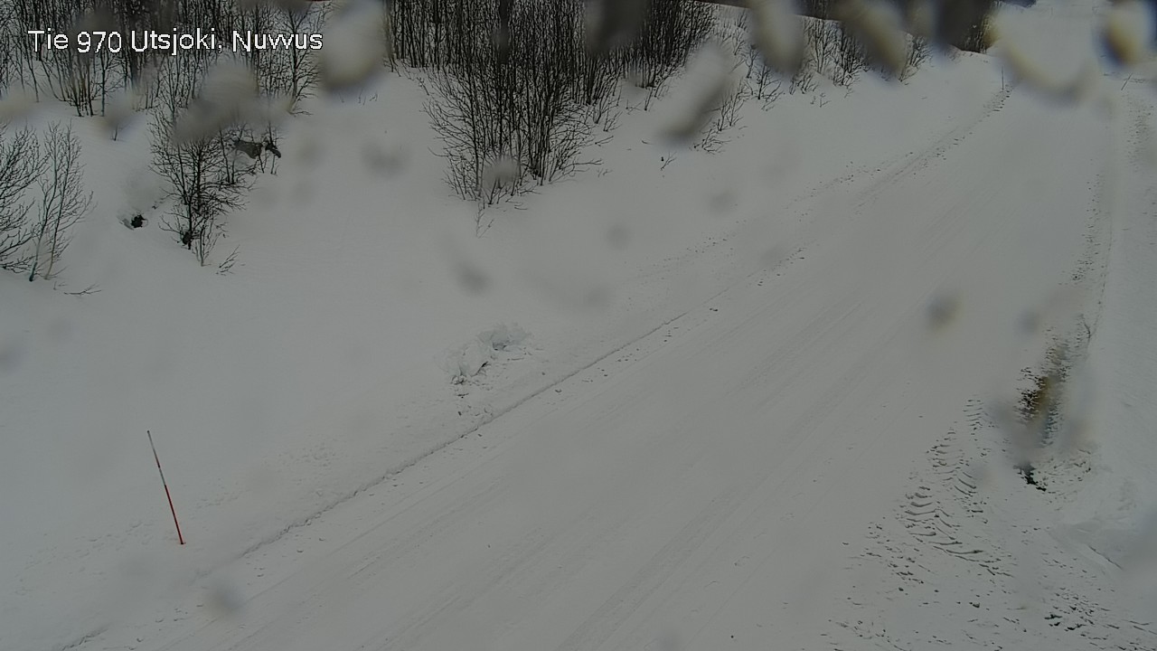 Kelikamerat Kuva Tie 970 Utsjoki, Nuvvus, Utsjoki, Lappi